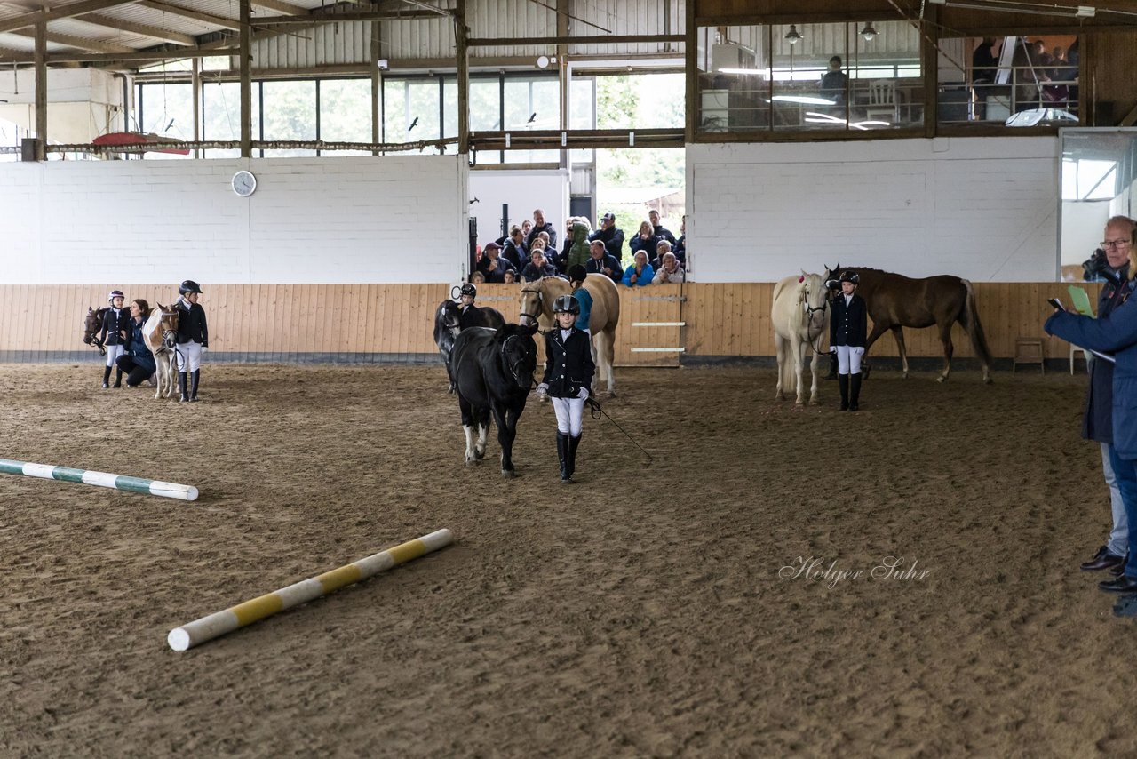 Bild 60 - Pony Akademie Turnier